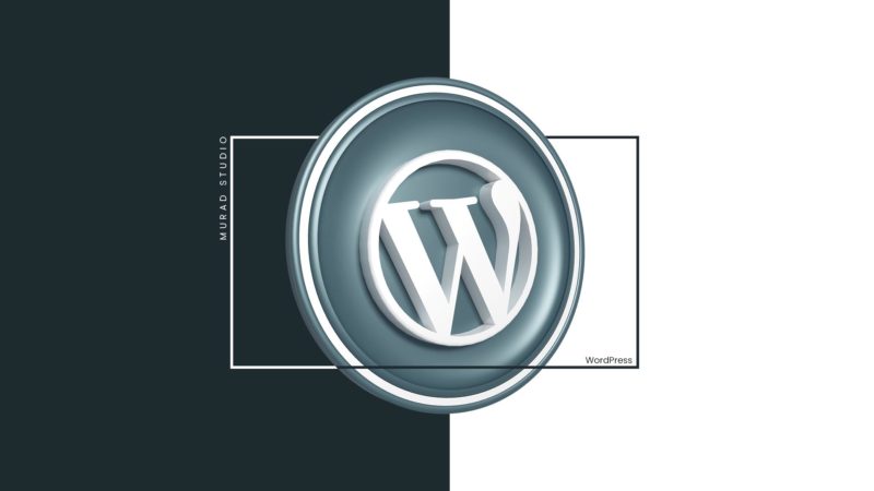 Murad-Studio-Design-Designagentur-webentwicklung-Wordpress-1